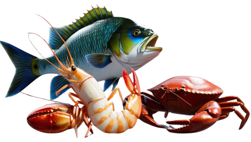 image fish shirmp and crab